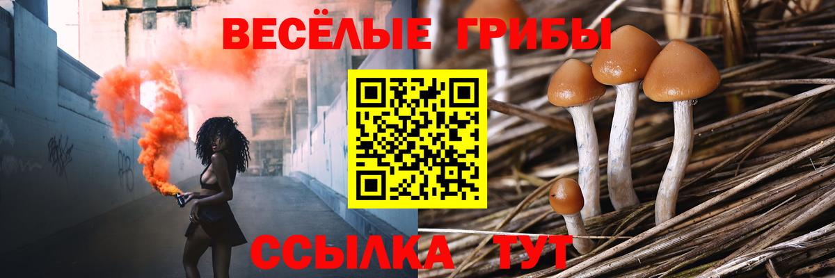 Галлюциногенные грибы ЛСД  Вход с VPN  Верхний Уфалей  Псилоцибиновые грибы GOLDEN TEACHER 